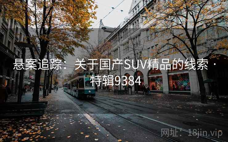 悬案追踪：关于国产SUV精品的线索 · 特辑9384