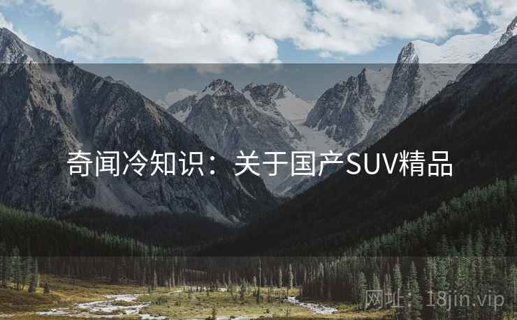 奇闻冷知识：关于国产SUV精品